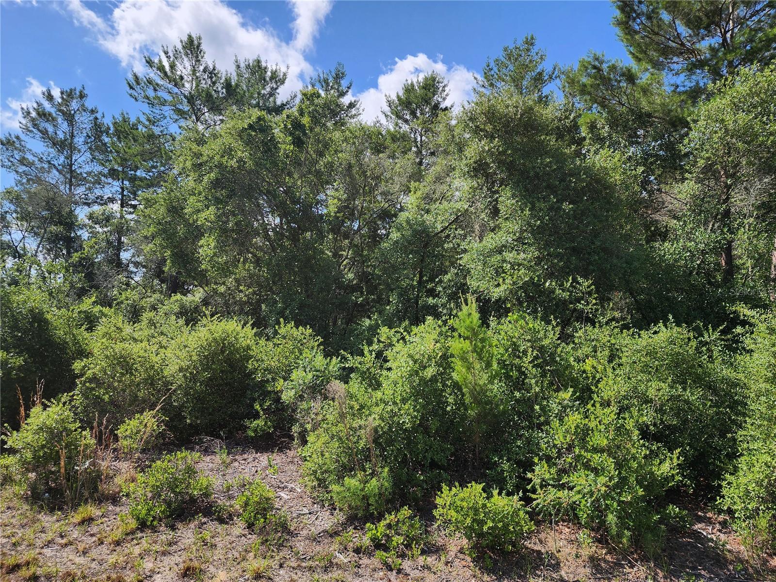Listing Details for 4168 112th Lane, OCALA, FL 34476