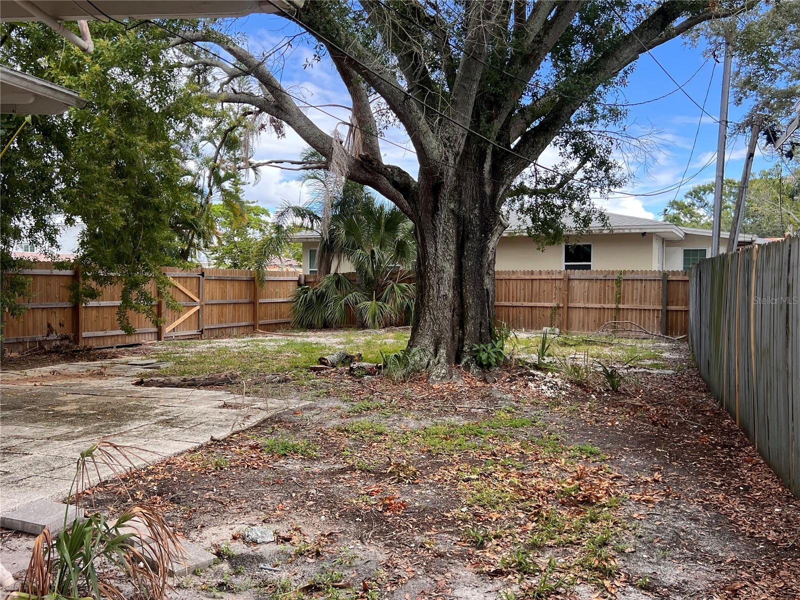 Image 14 of 14 For 535 Monterey Boulevard Ne 1