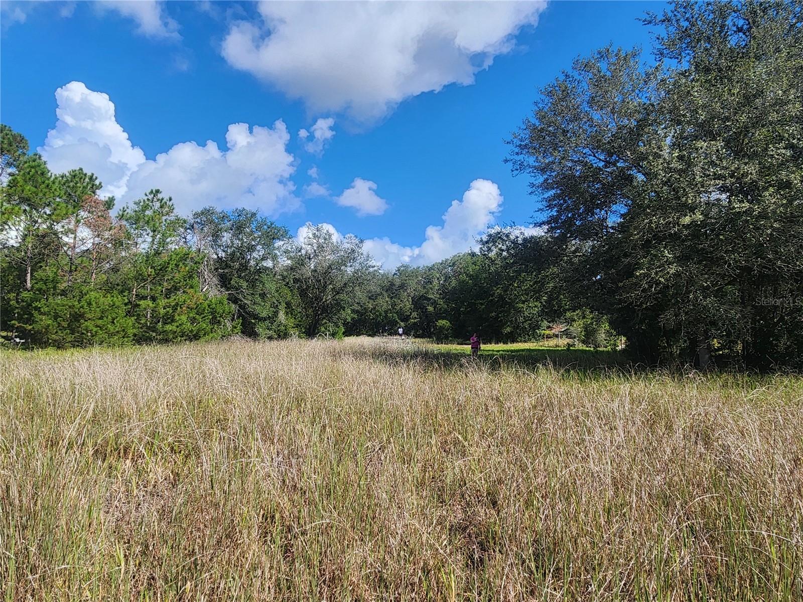 Image 3 of 17 For 217 Lakeview Drive