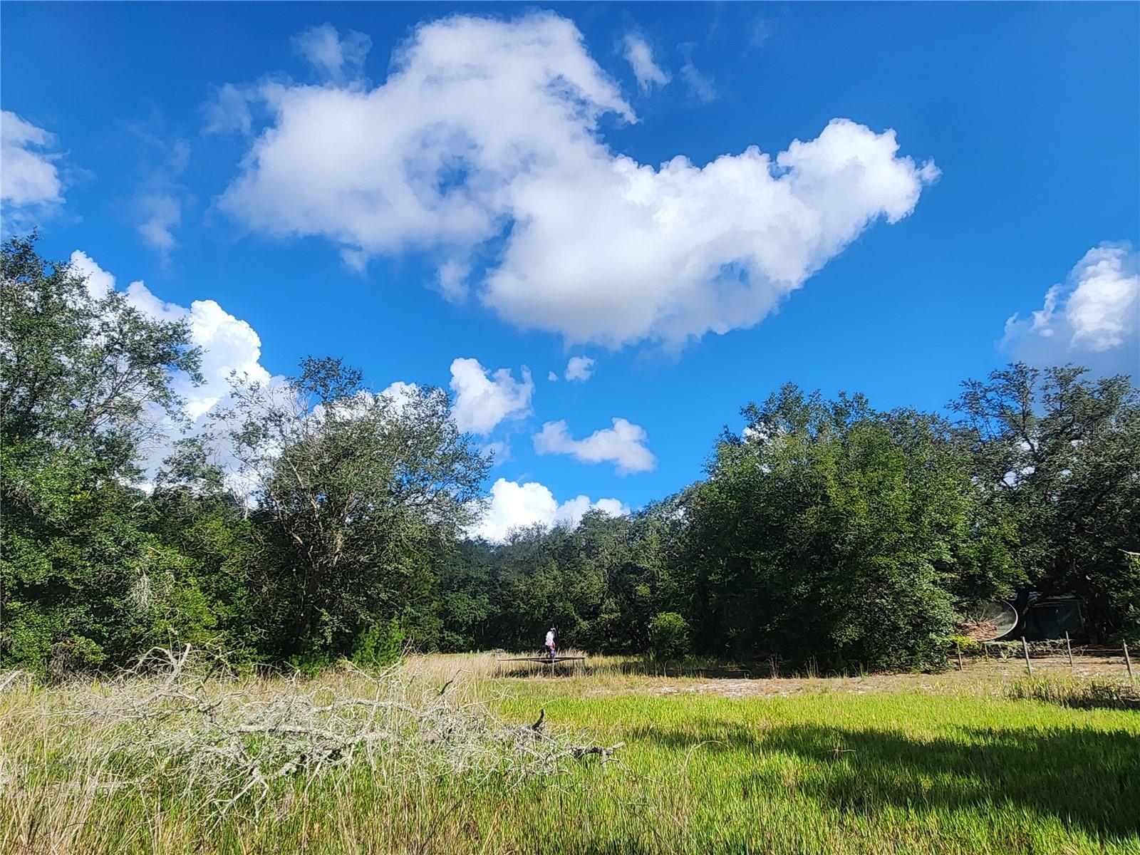 Image 4 of 17 For 217 Lakeview Drive