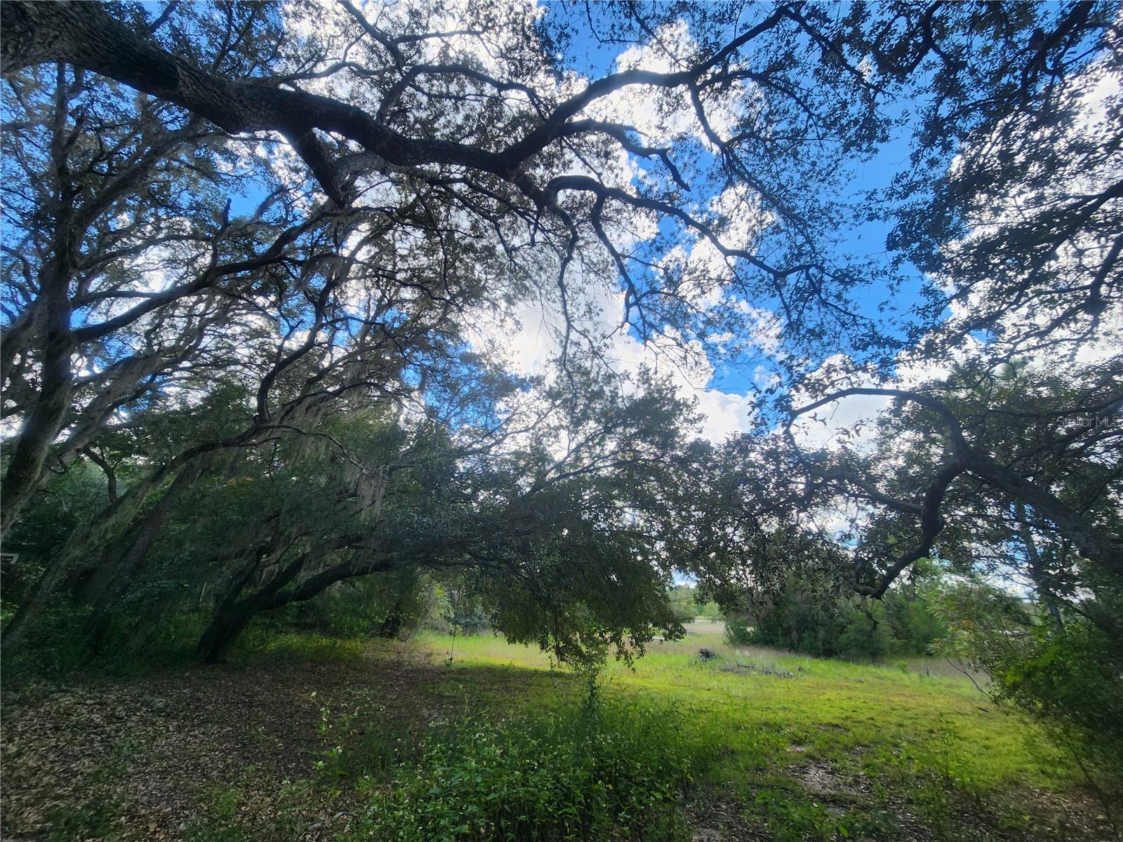 Image 6 of 17 For 217 Lakeview Drive