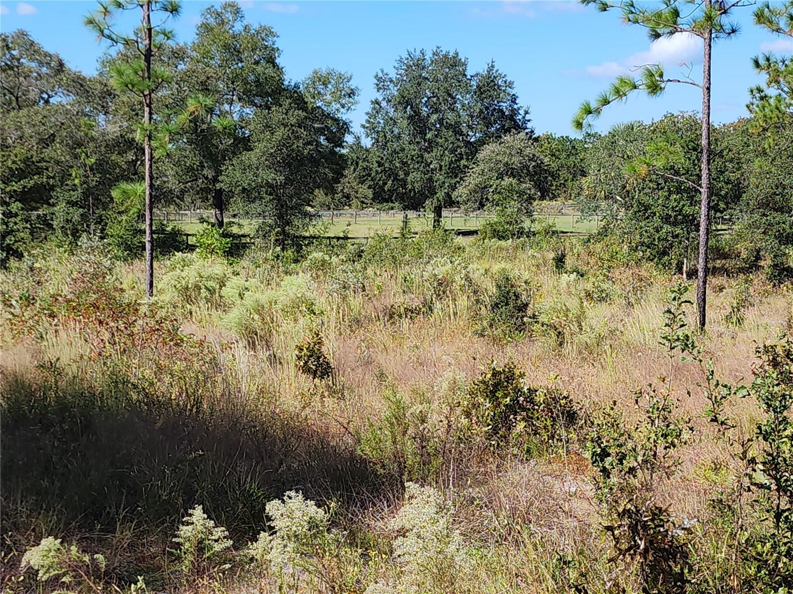 Image 5 of 22 For  125th Court 