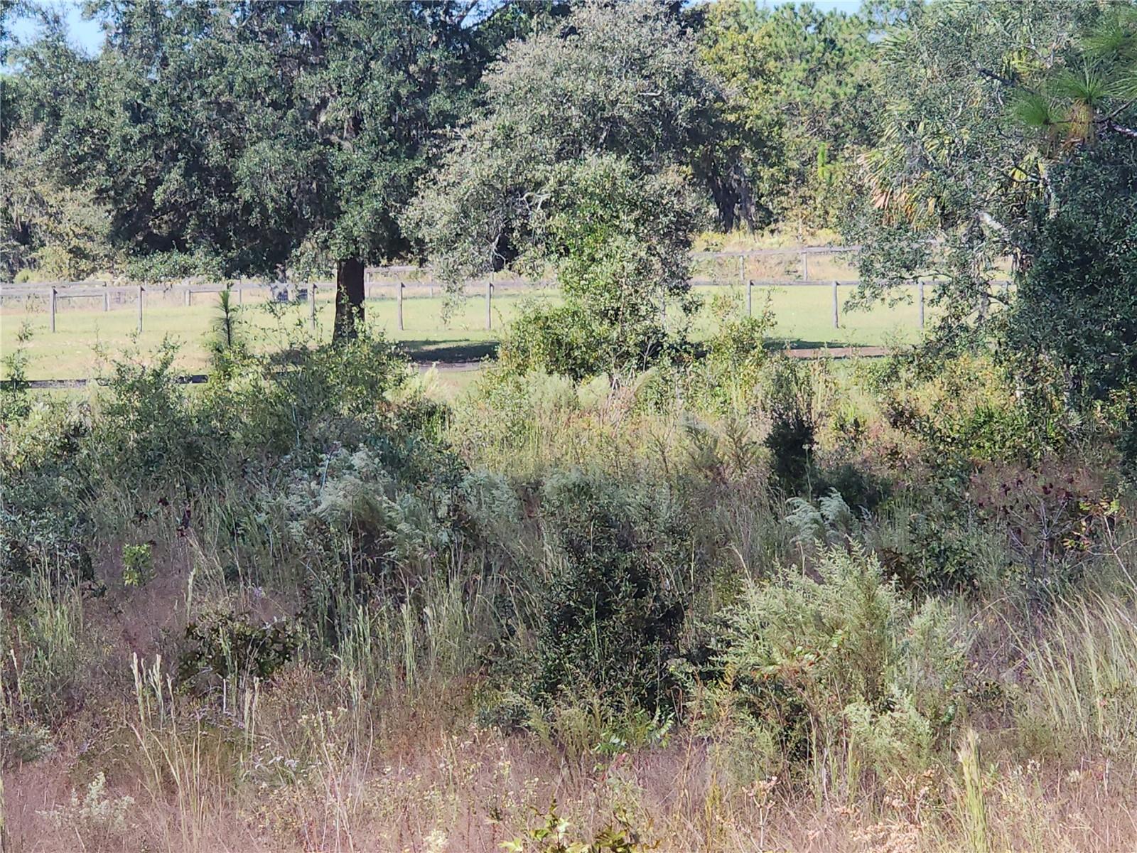 Image 6 of 22 For  125th Court 