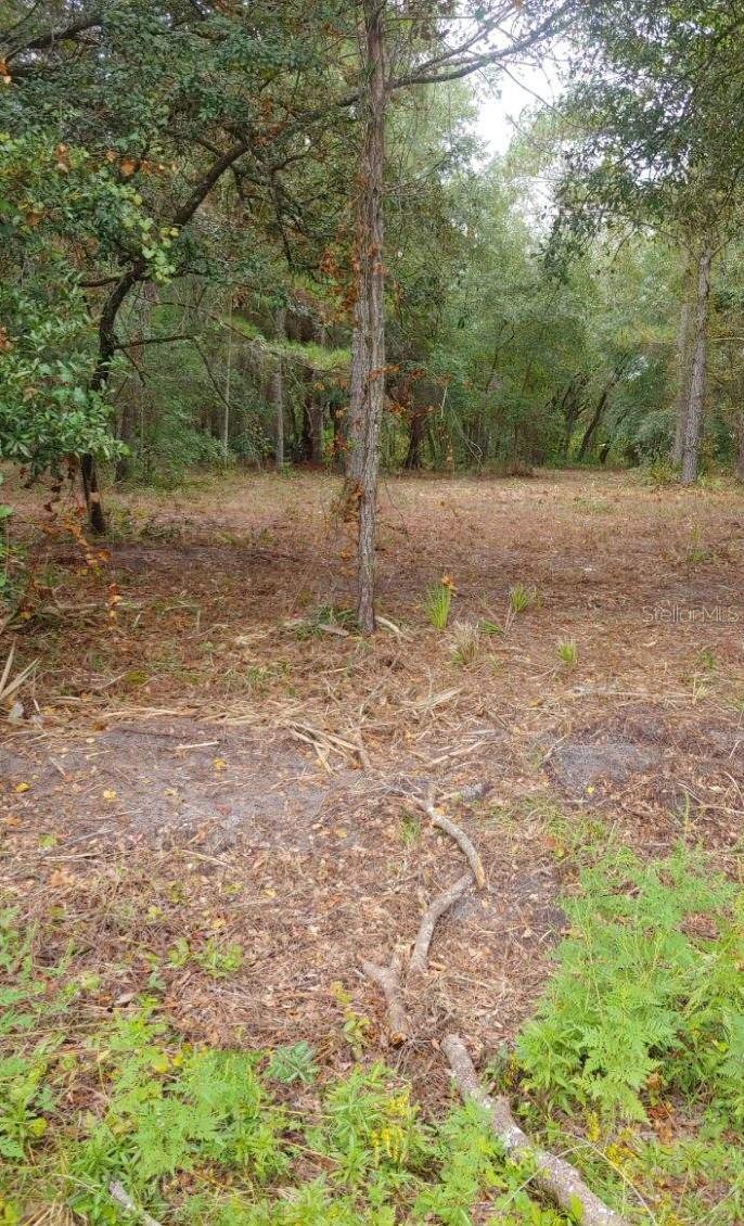 Details for 0 148th Terrace Rd, FORT MC COY, FL 32134