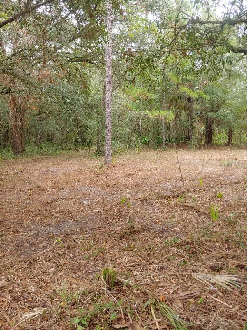 Image 3 of 8 For 0 148th Terrace Rd
