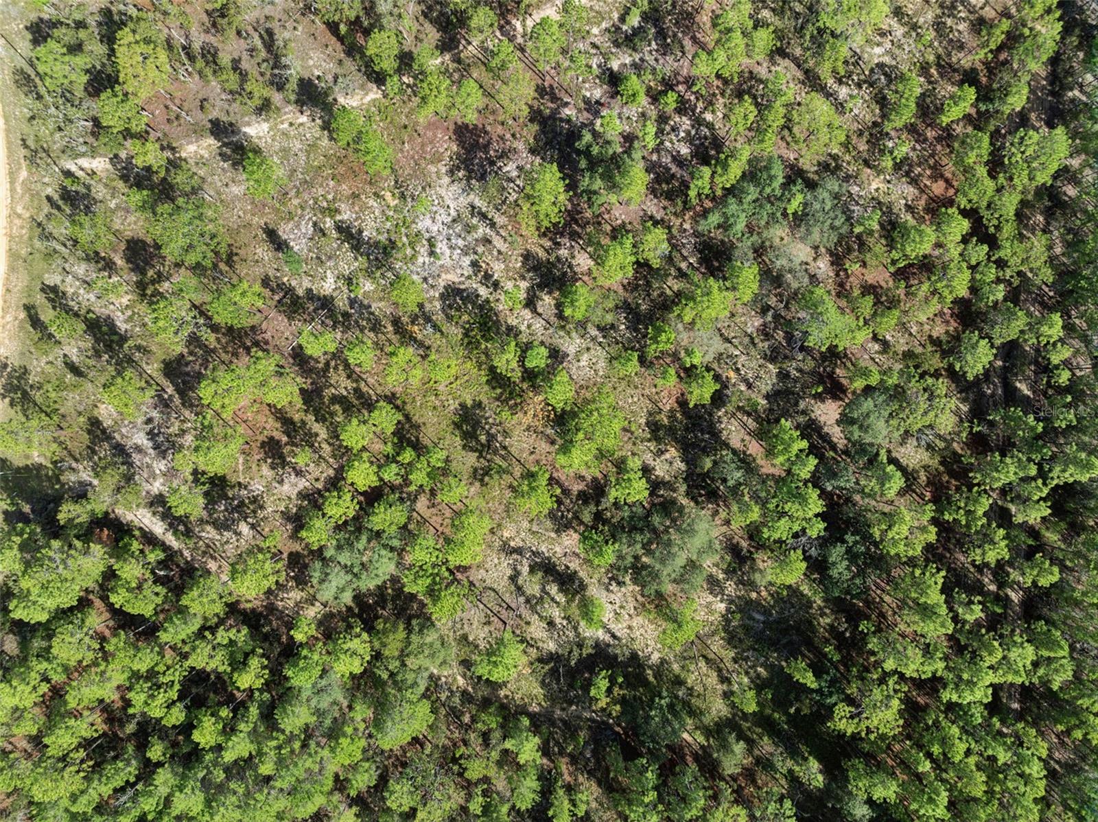 Image 10 of 18 For 240 Cessna Way