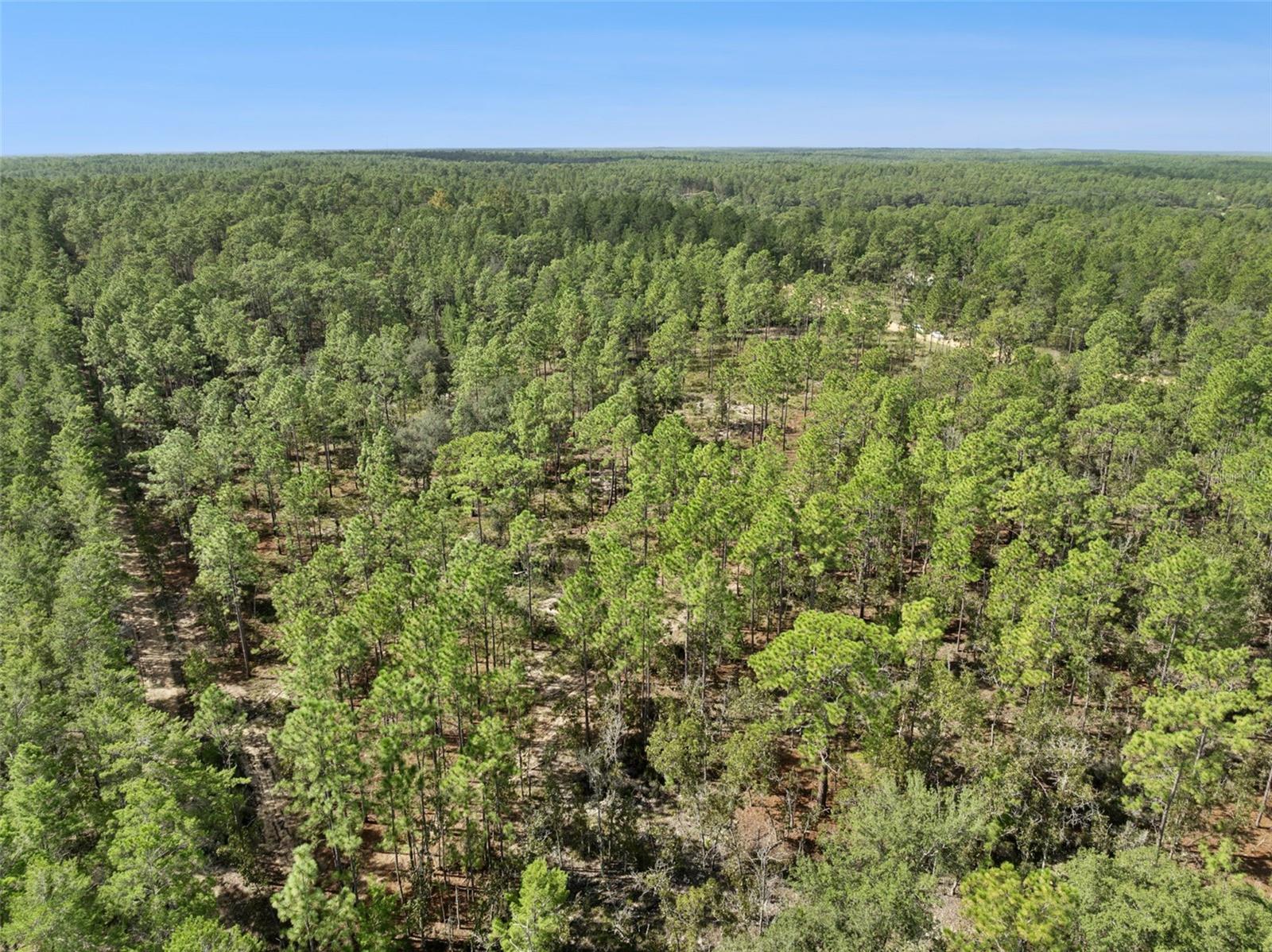 Image 3 of 18 For 240 Cessna Way