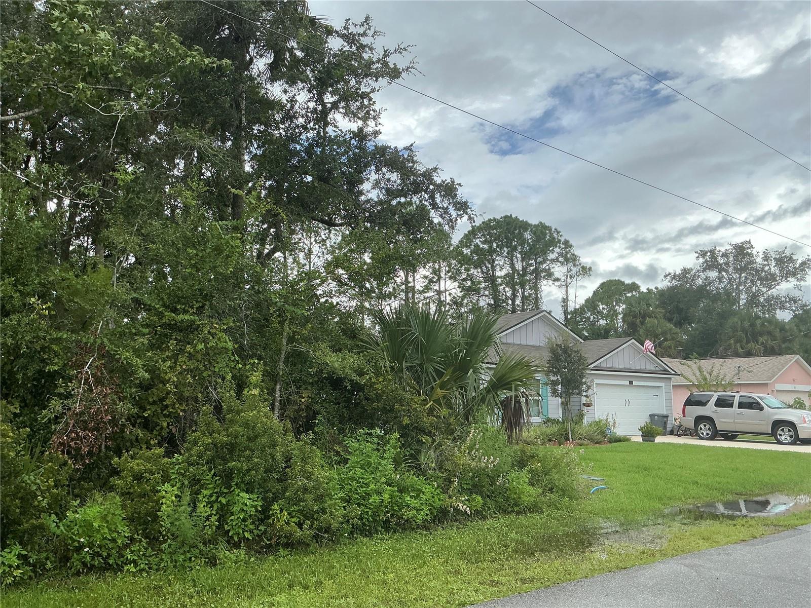 Image 2 of 7 For 91 Palmwood Drive