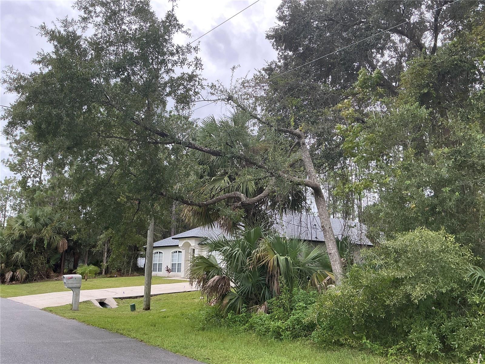 Image 3 of 7 For 91 Palmwood Drive