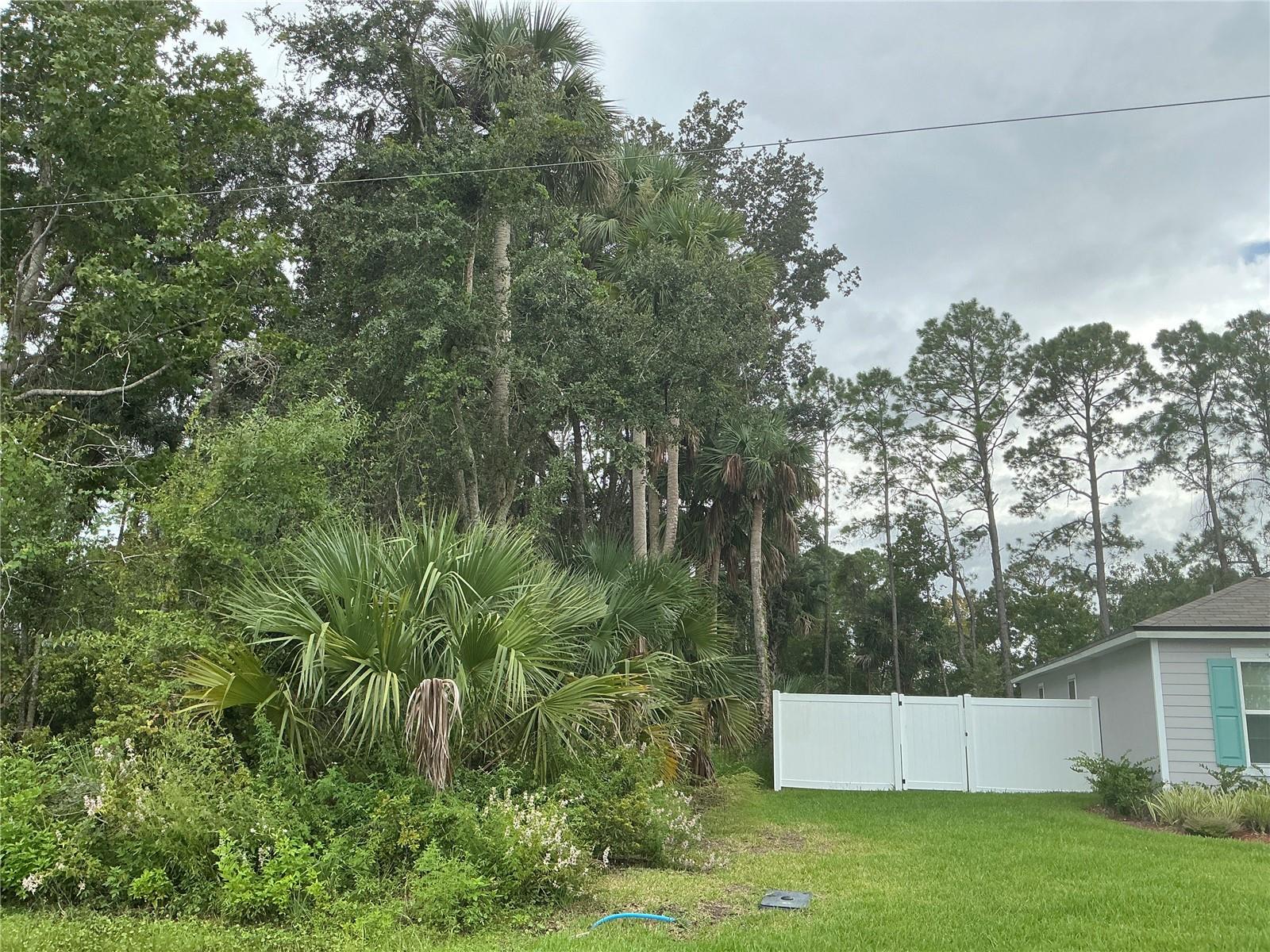 Image 5 of 7 For 91 Palmwood Drive