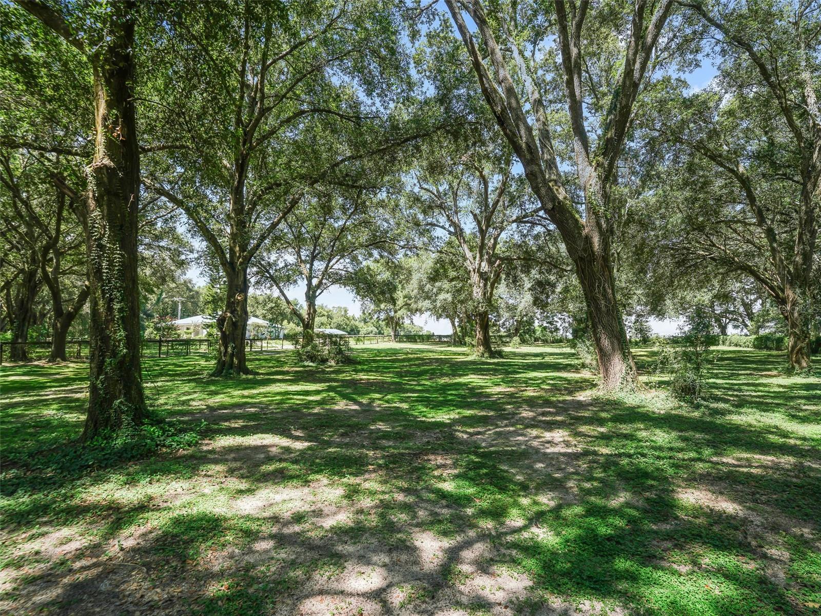 Image 54 of 65 For 17244 130th Avenue