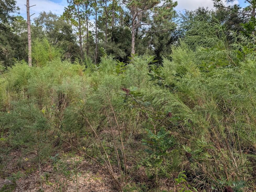 Image 15 of 20 For Lot 103 60th Lane Road