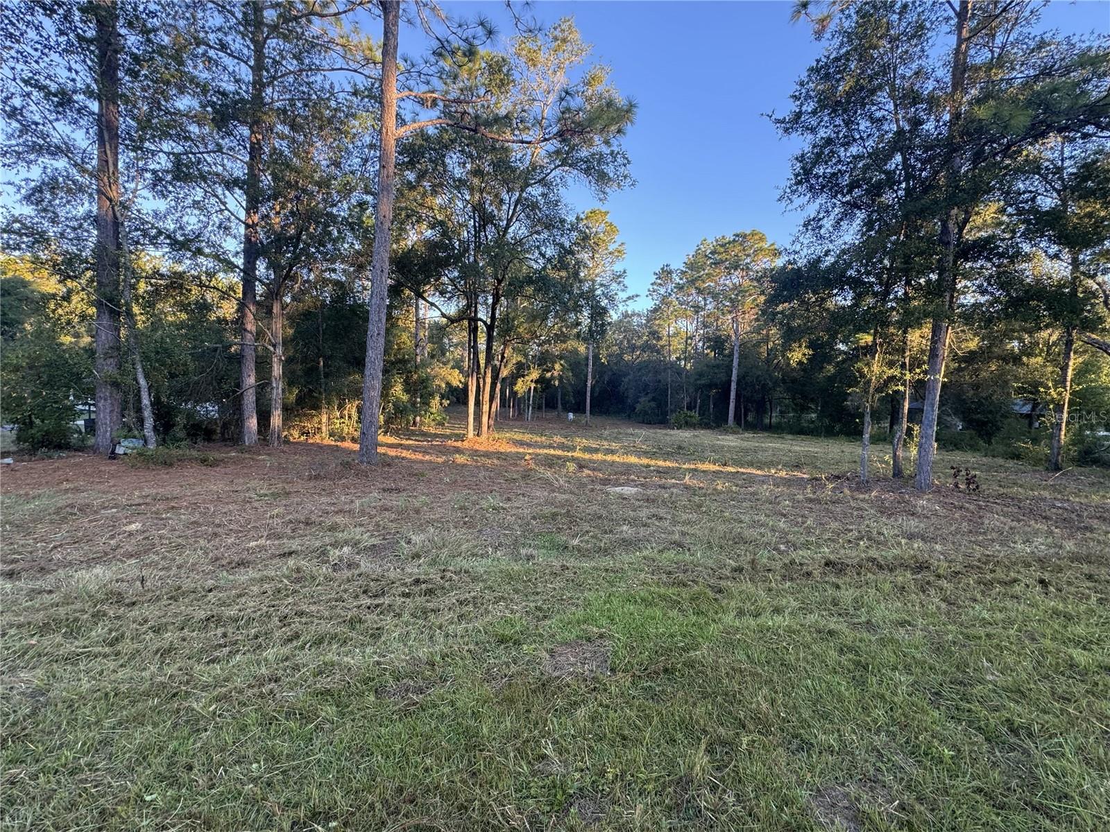 Image 16 of 20 For Lot 103 60th Lane Road