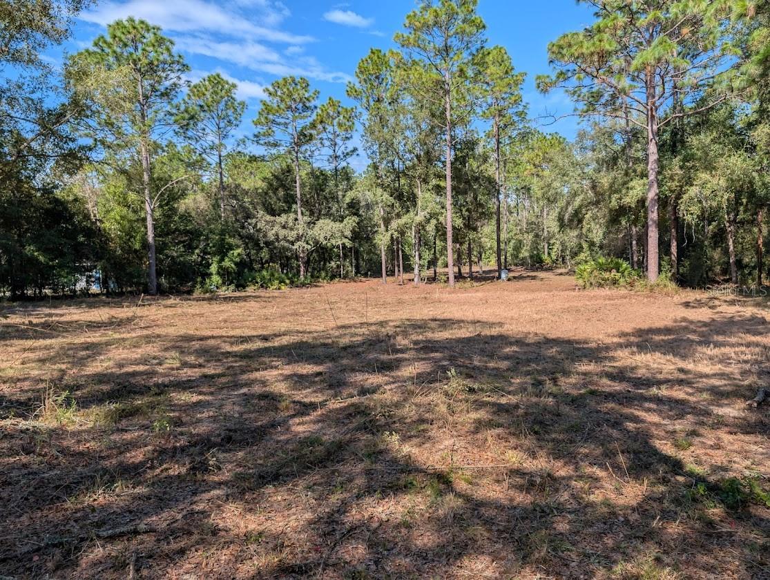 Image 19 of 20 For Lot 103 60th Lane Road