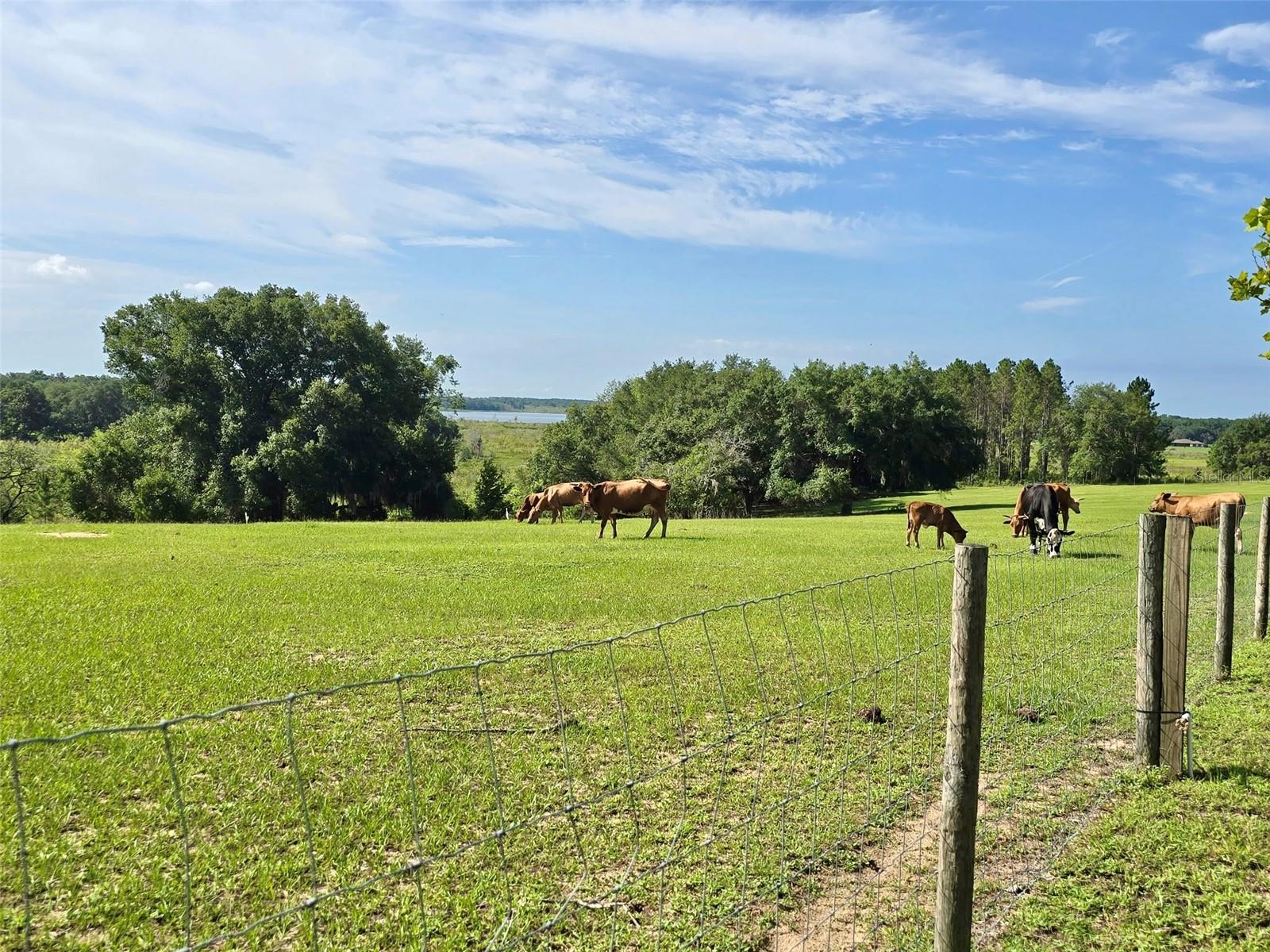 Image 62 of 69 For 17355 260th Avenue Road