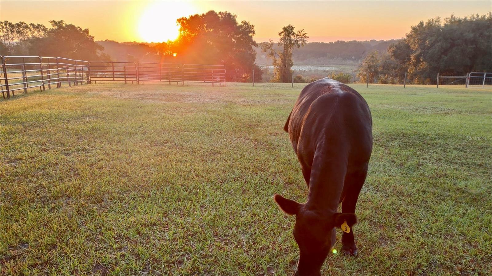 Image 65 of 69 For 17355 260th Avenue Road