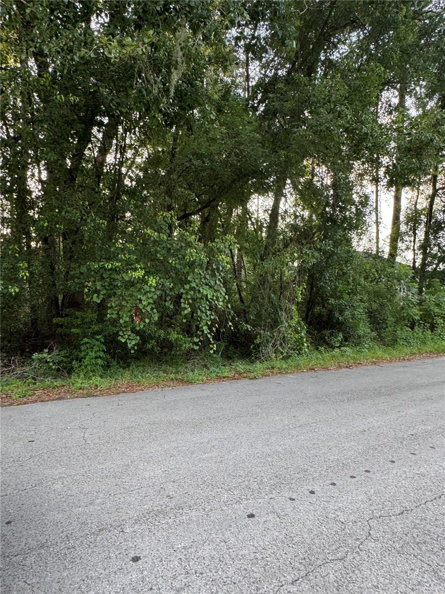 Listing Details for Tbd 158th Place, SUMMERFIELD, FL 34491