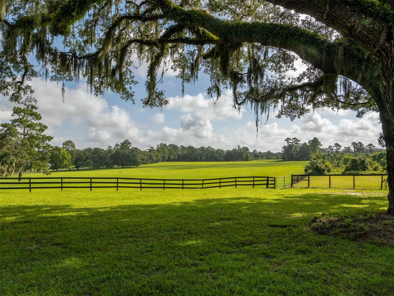 Image 34 of 37 For 15964 Highway 318