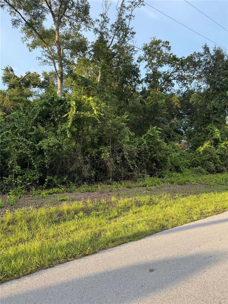 Listing Details for Tbd 83rd Court, SUMMERFIELD, FL 34491