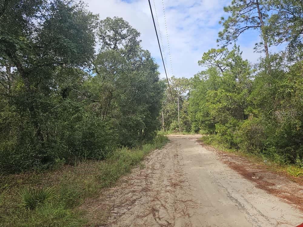 Details for  92nd Place , OCKLAWAHA, FL 32179