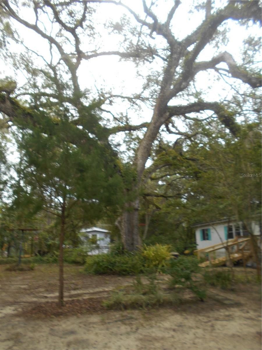 Image 31 of 71 For 20425 143rd Street