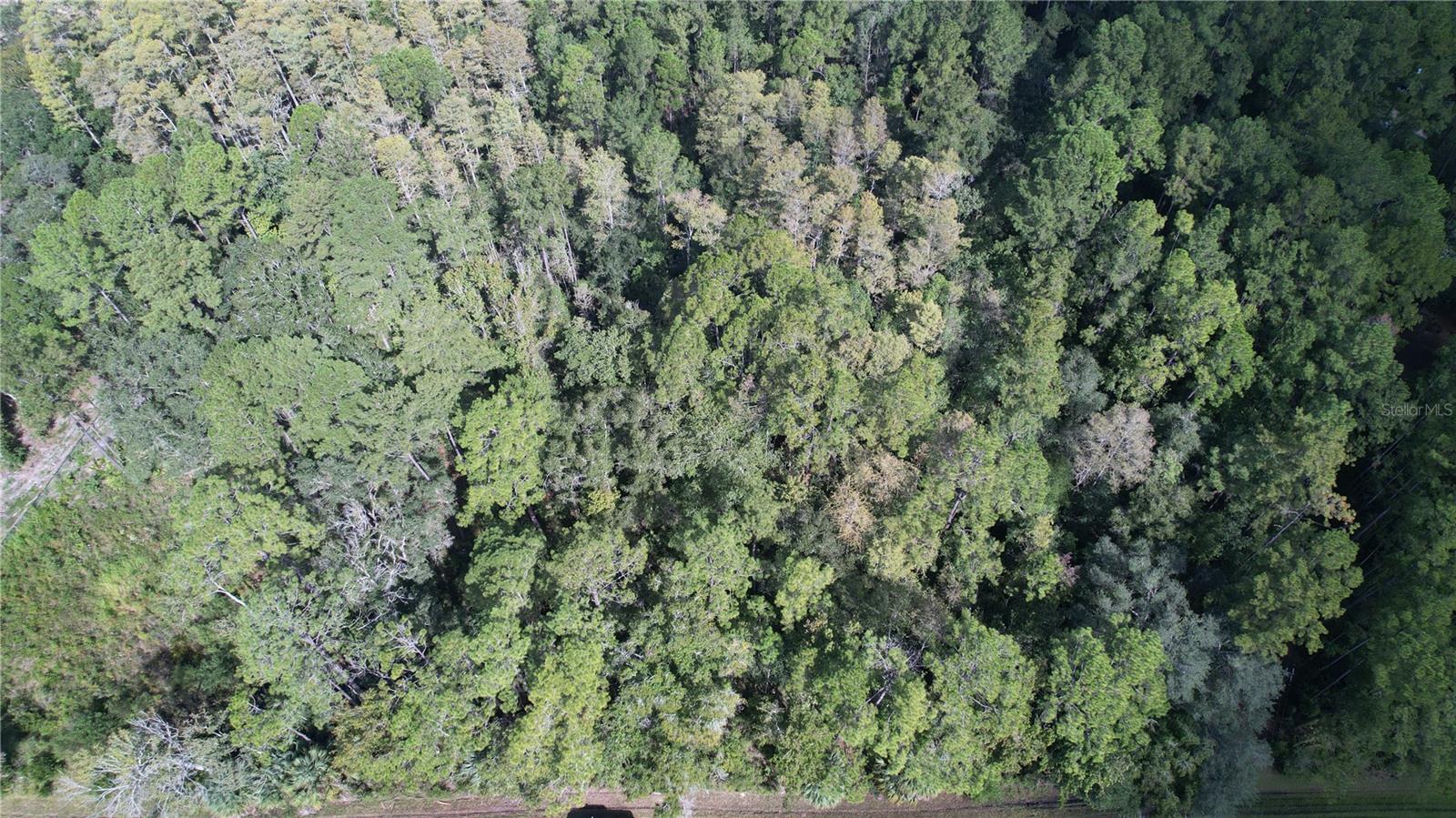 Image 10 of 22 For  Highway 316  