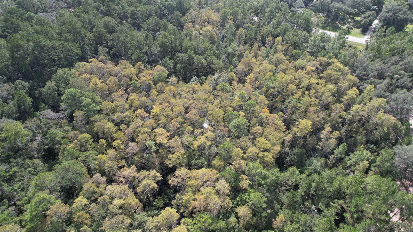 Image 13 of 22 For  Highway 316  