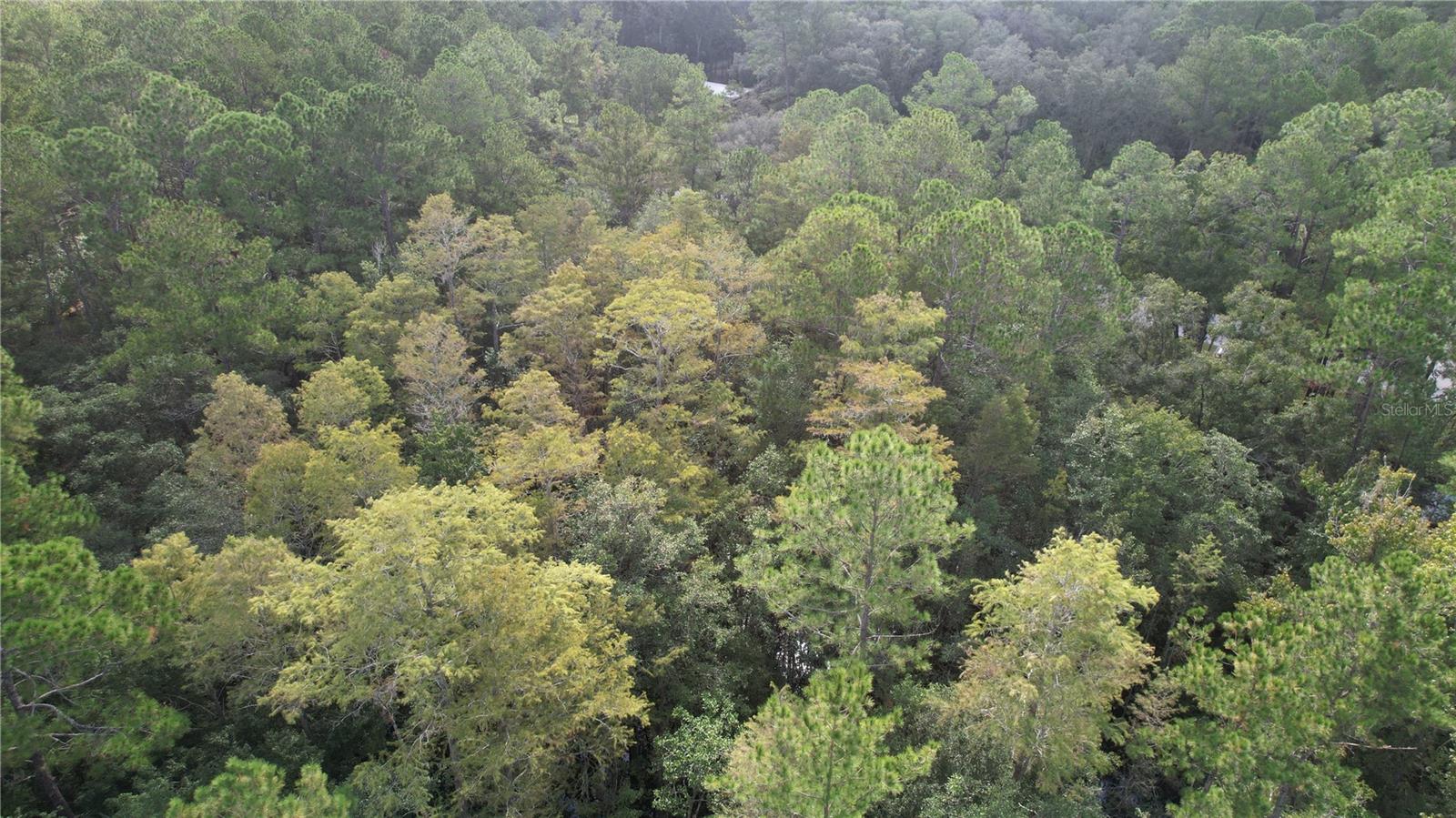 Image 15 of 22 For  Highway 316  