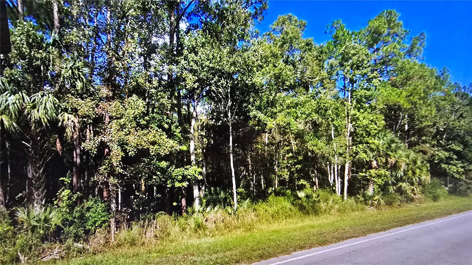 Image 4 of 22 For  Highway 316  