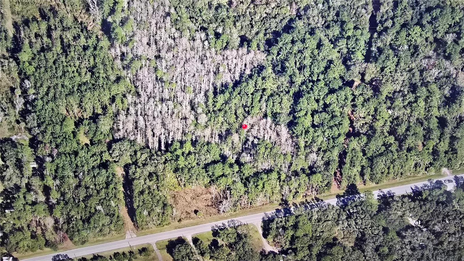 Image 6 of 22 For  Highway 316  