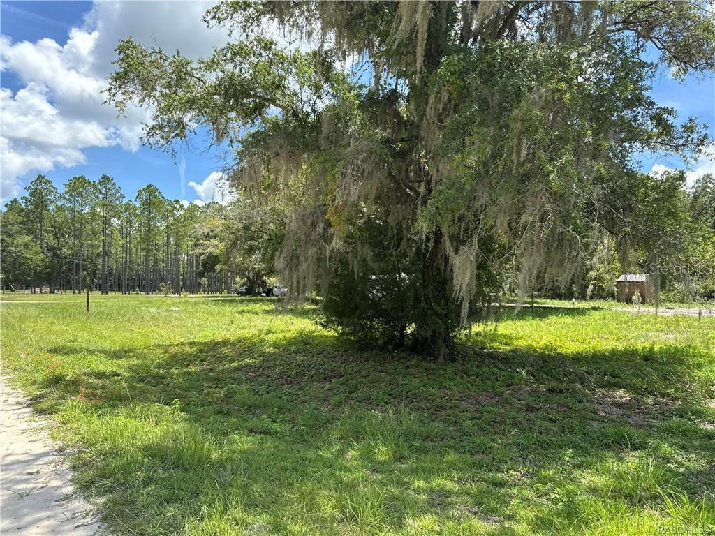 Image 18 of 23 For 5590 76th Avenue