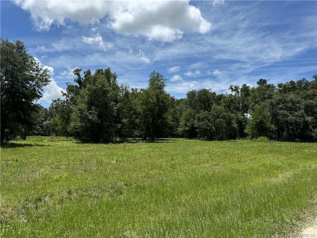 Image 22 of 23 For 5590 76th Avenue