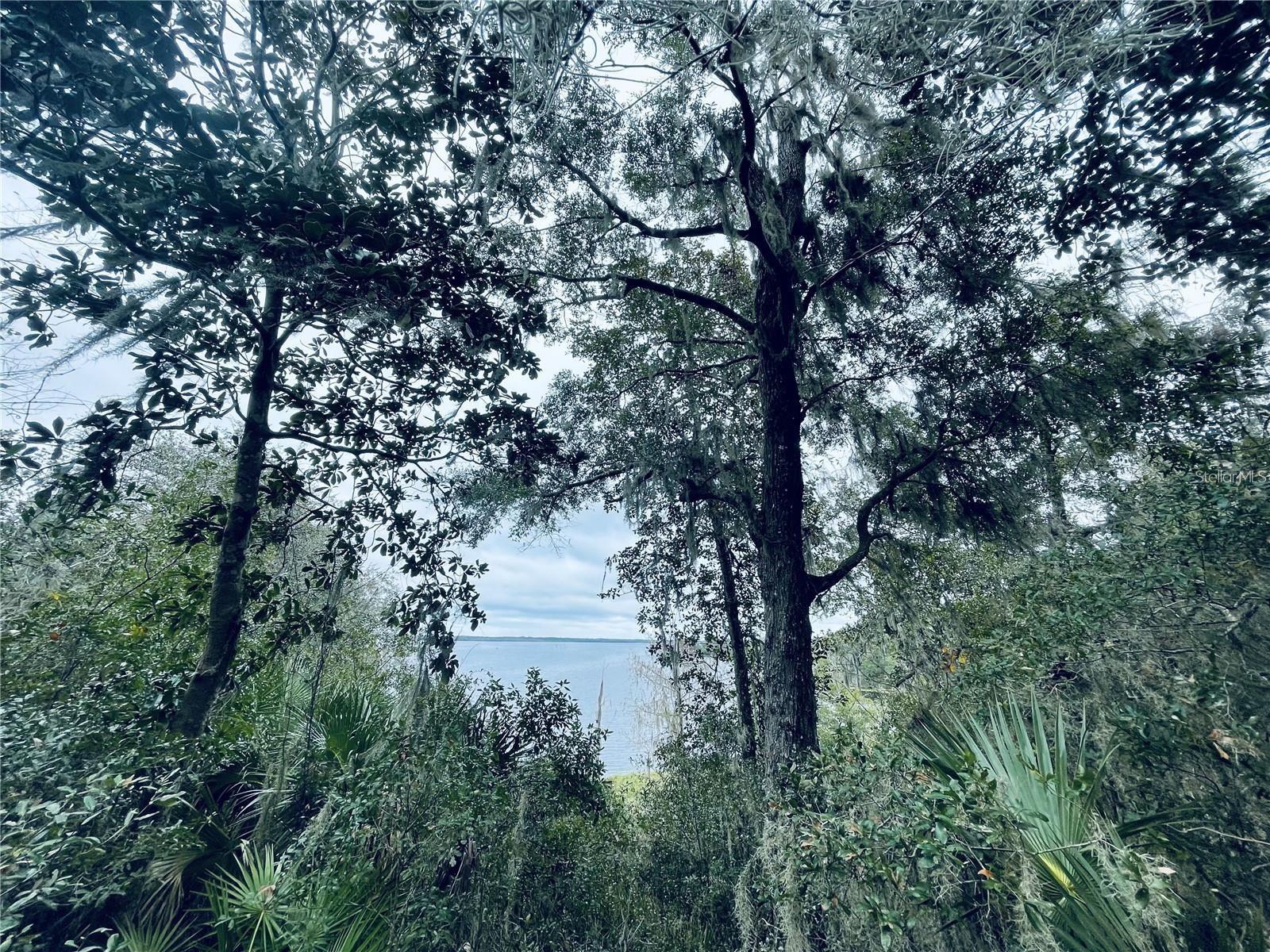 Details for Tbd Ne 245th Street Road, FORT MC COY, FL 32134