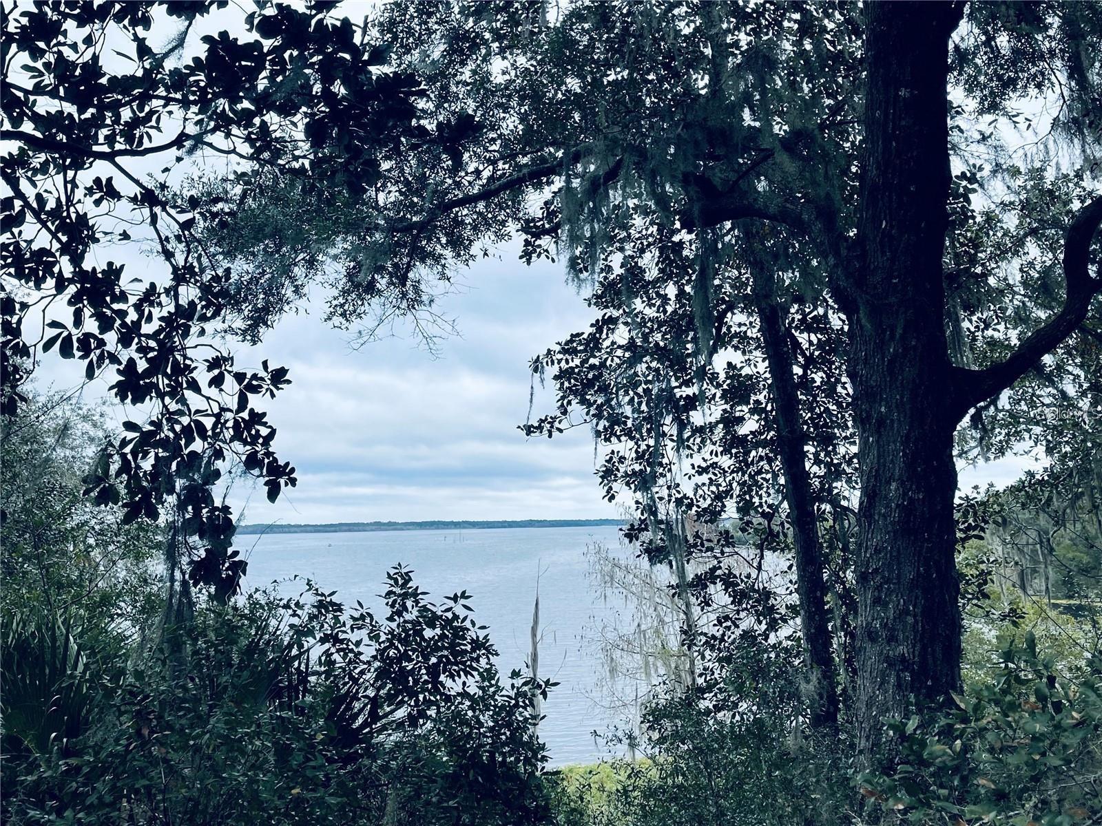 Image 2 of 4 For Tbd Ne 245th Street Road