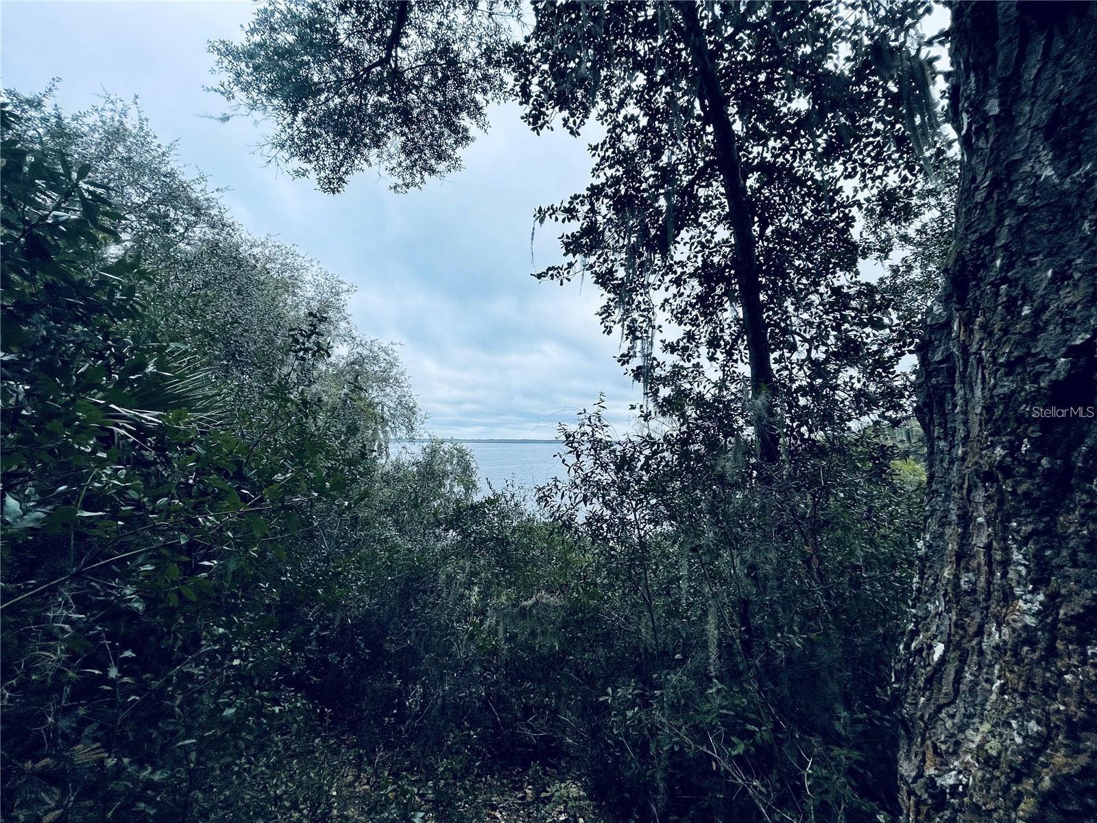 Image 3 of 4 For Tbd Ne 245th Street Road