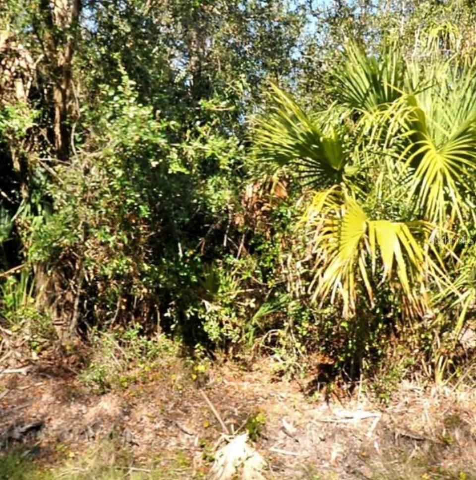 Image 2 of 2 For 13 Snug Street