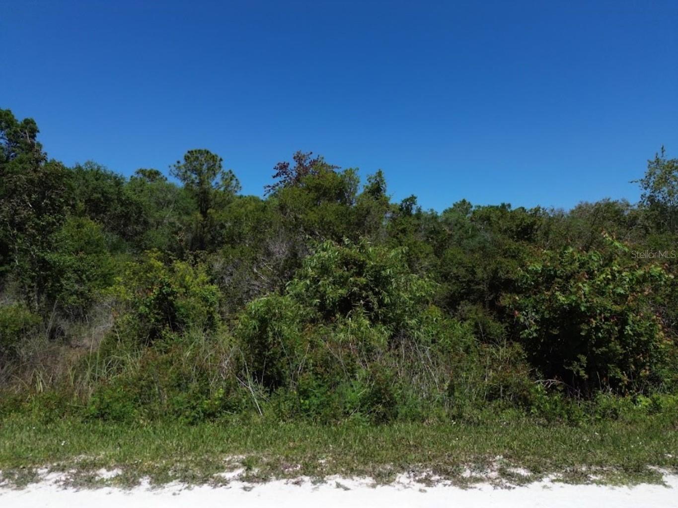 Details for 33455 Berryhill Drive, WEBSTER, FL 33597