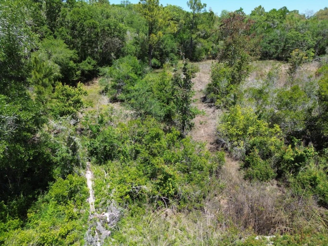Image 3 of 9 For 33455 Berryhill Drive