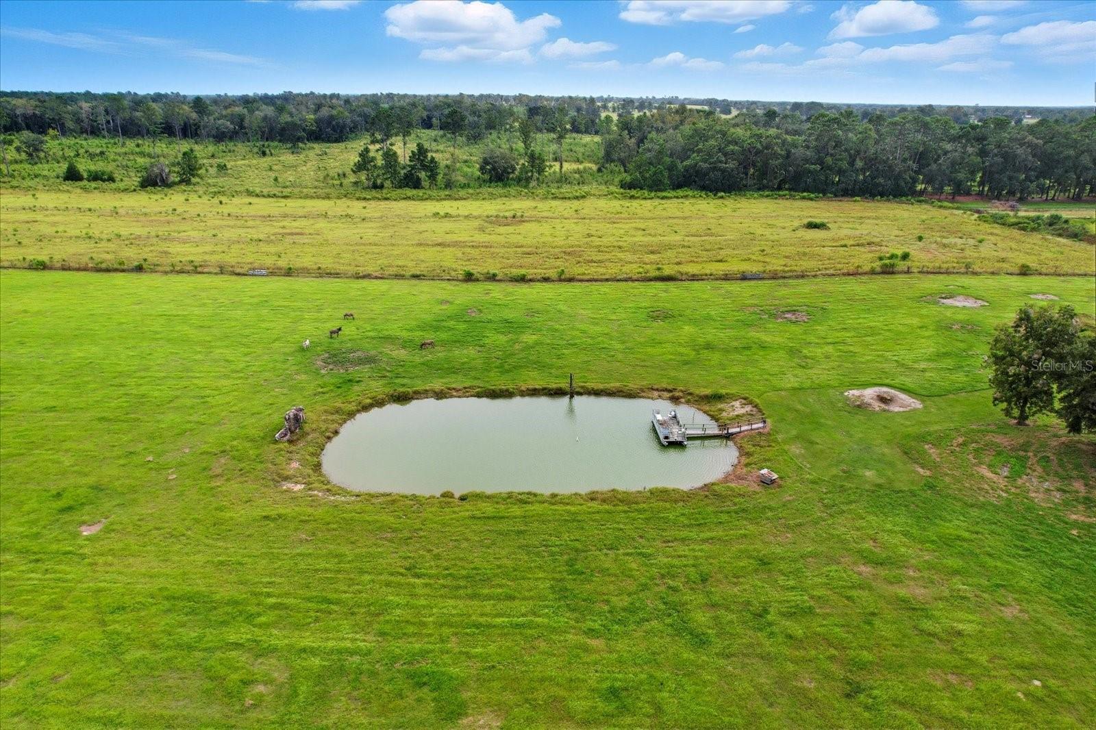 Image 12 of 67 For 9897 160 Avenue