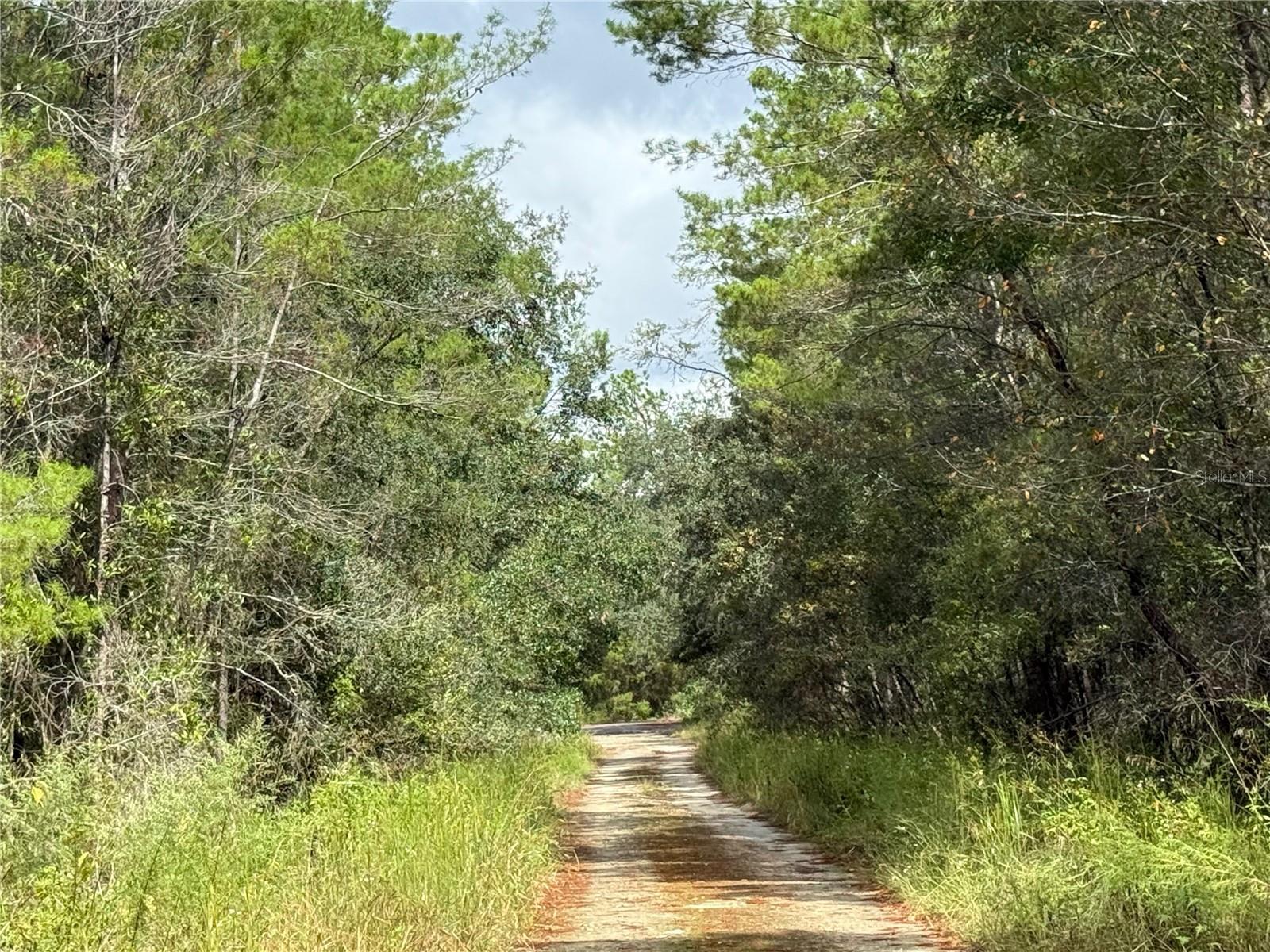 Image 10 of 17 For 0 114th Avenue Road