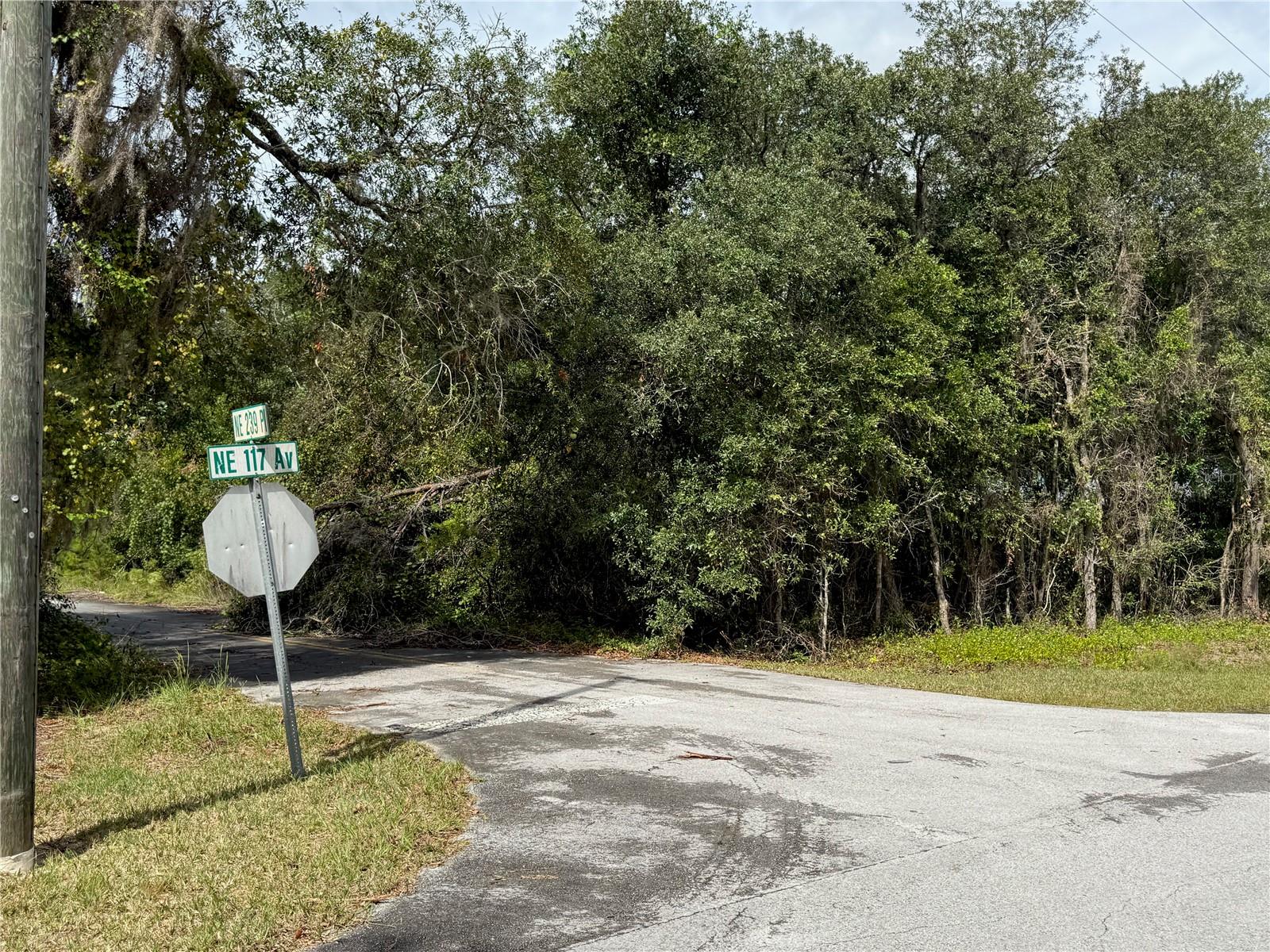 Image 11 of 17 For 0 114th Avenue Road
