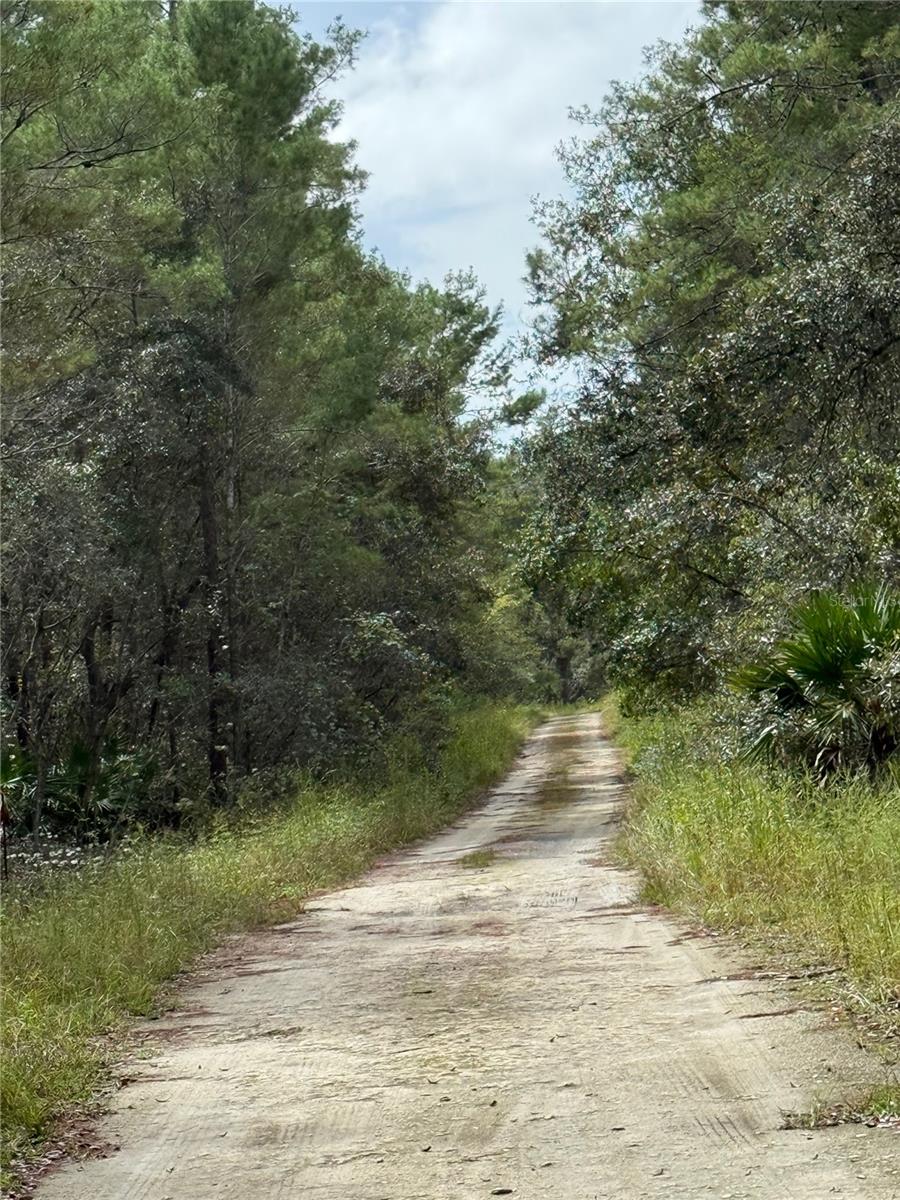 Image 6 of 17 For 0 114th Avenue Road