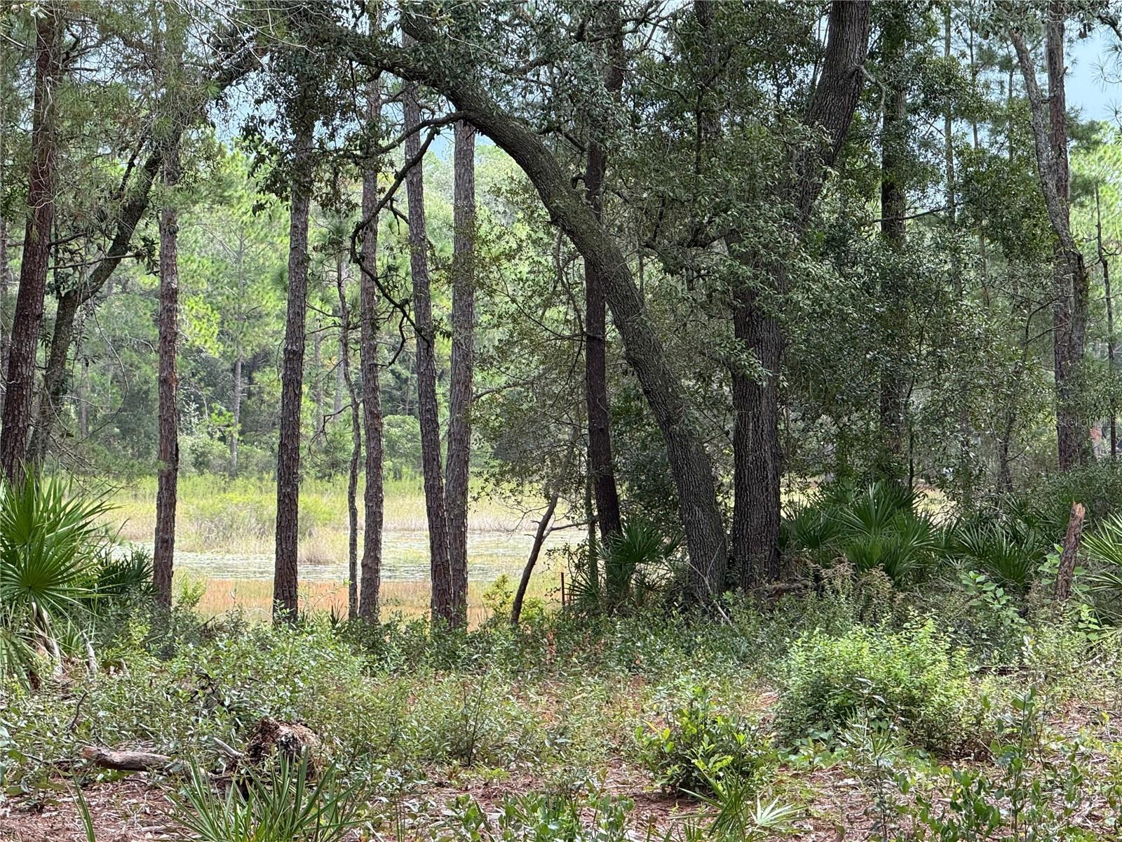 Image 7 of 17 For 0 114th Avenue Road