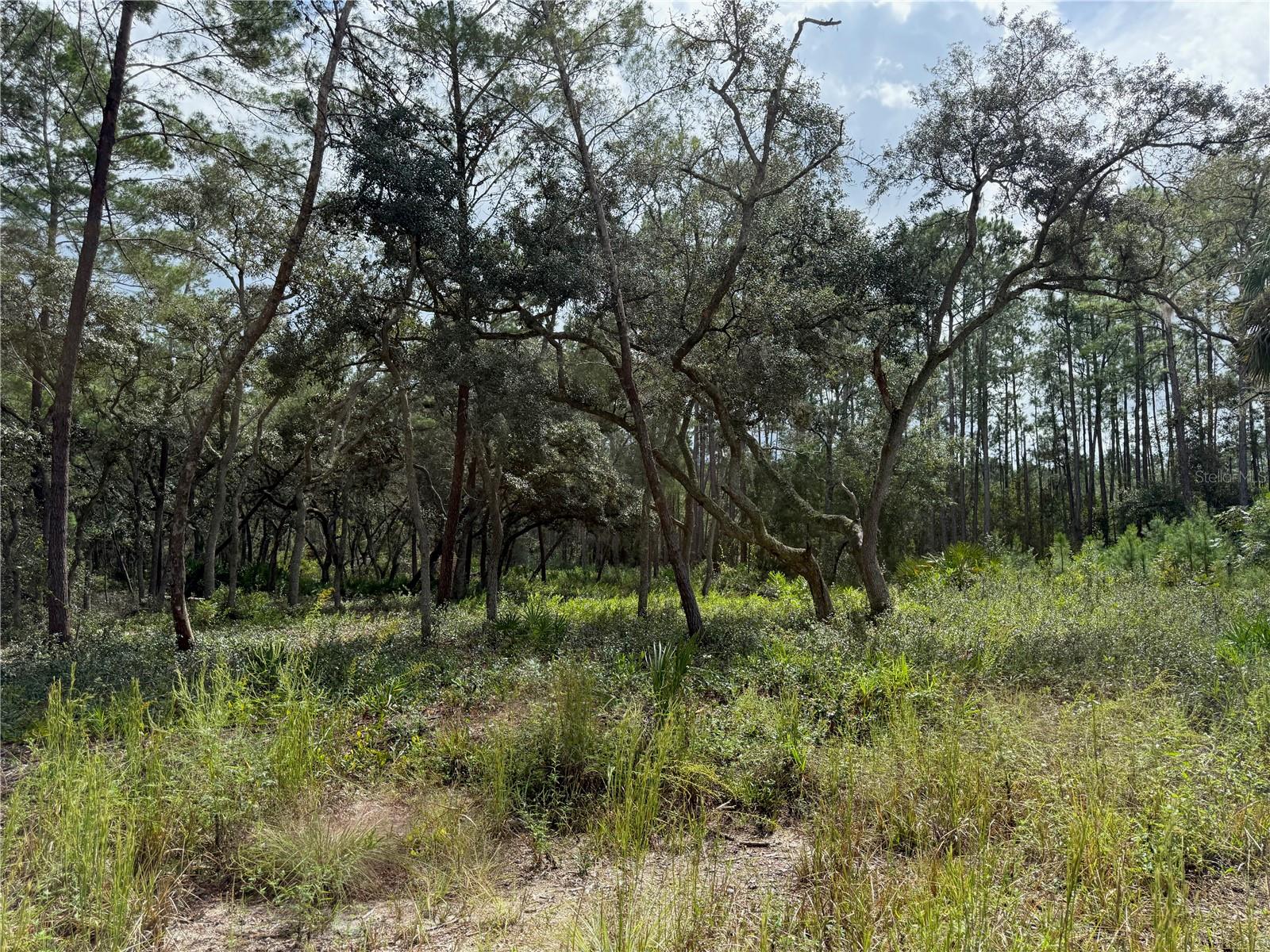 Image 9 of 17 For 0 114th Avenue Road