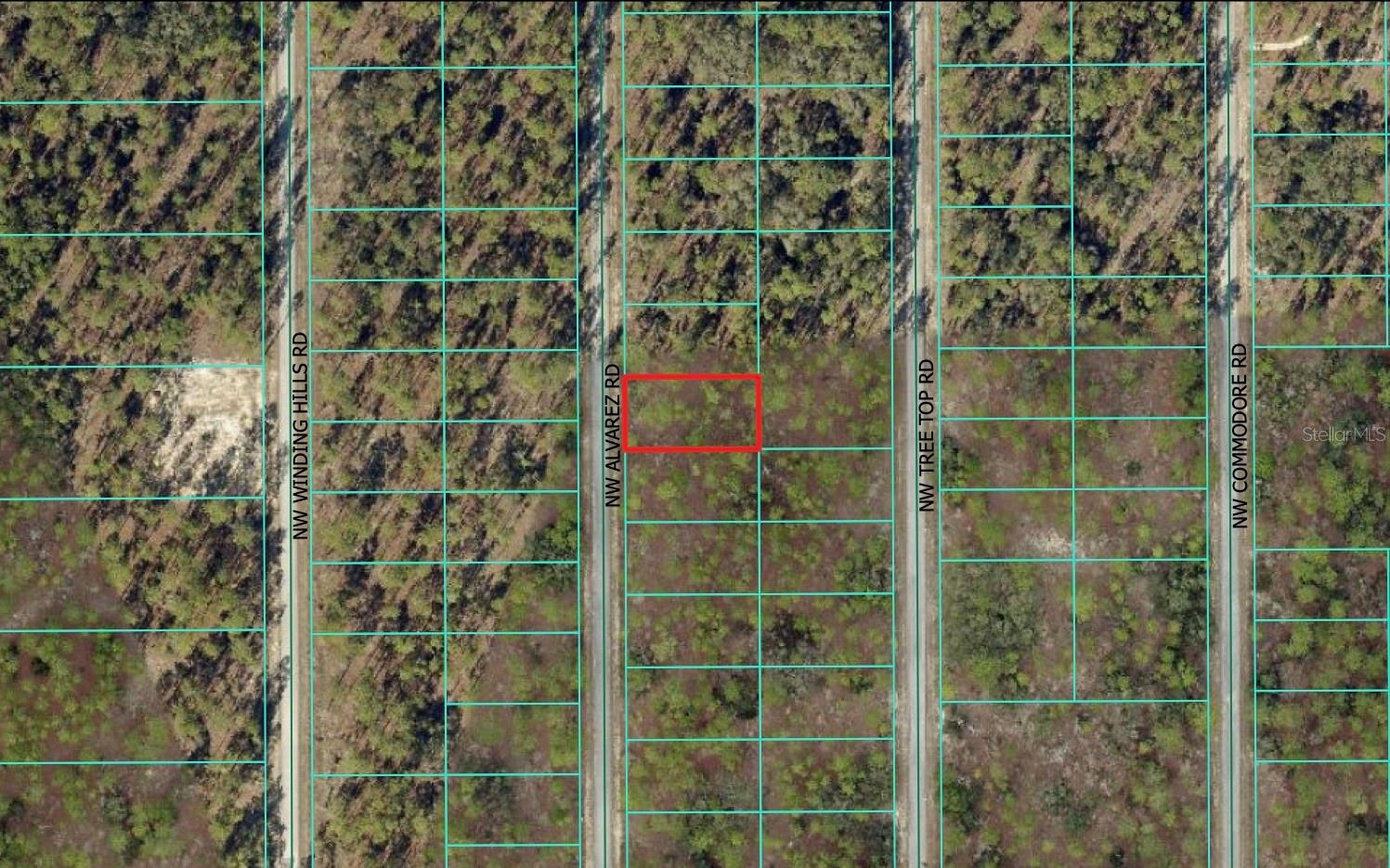 Details for 0 Alvarez Road, DUNNELLON, FL 34431