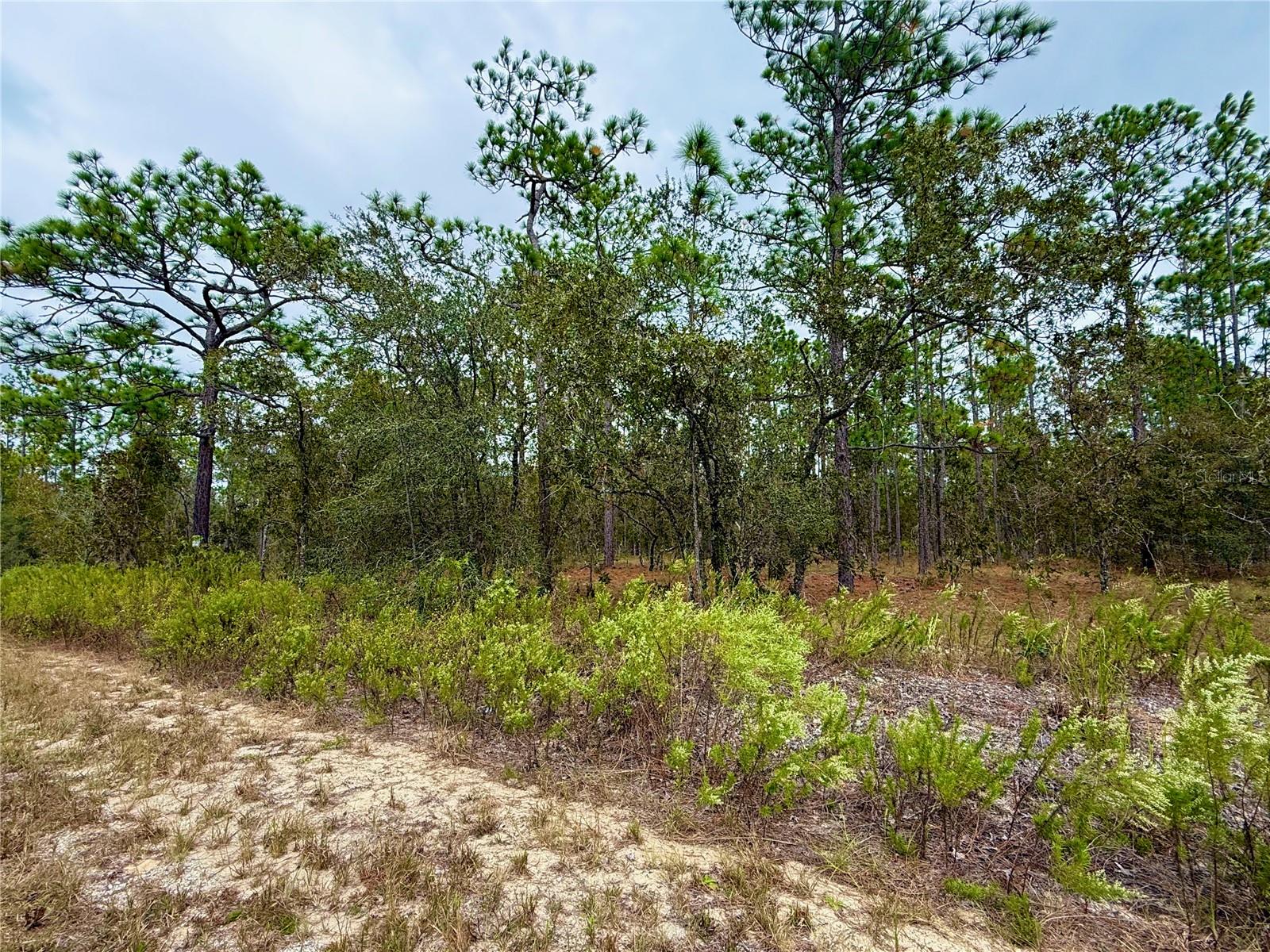 Image 13 of 20 For 0 Alvarez Road