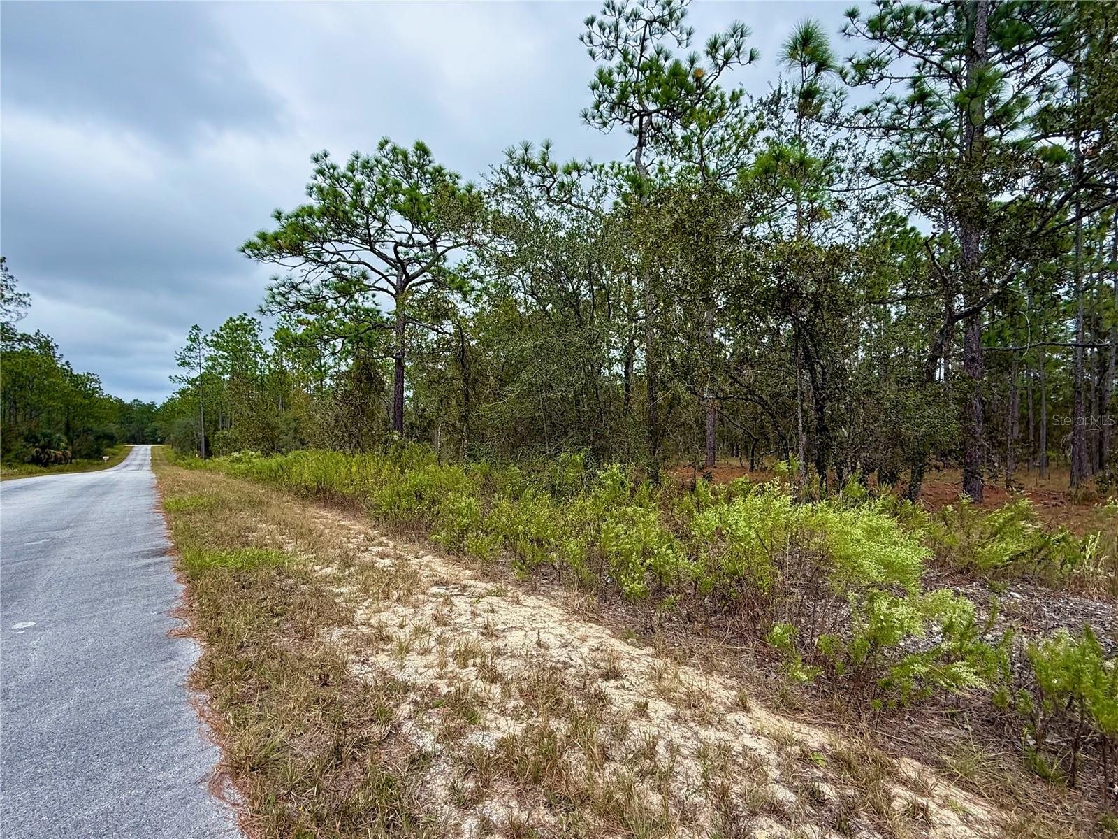 Image 14 of 20 For 0 Alvarez Road