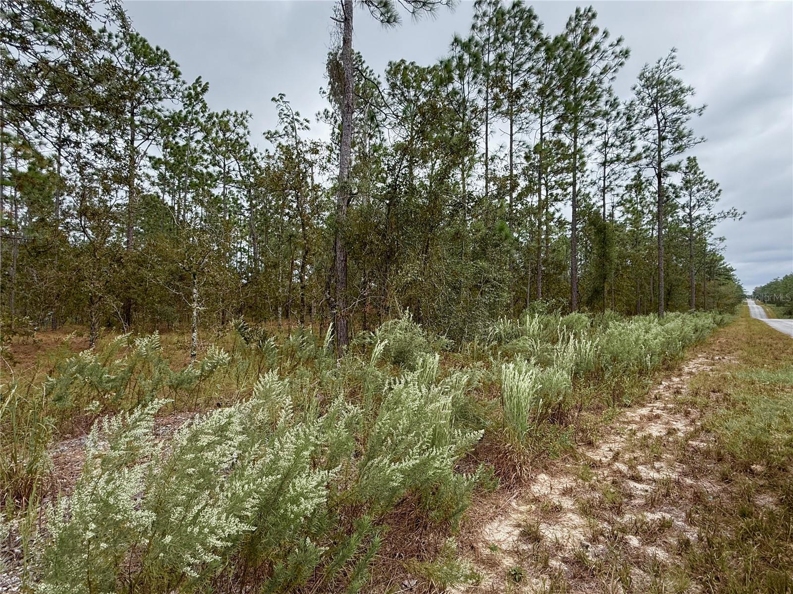 Image 15 of 20 For 0 Alvarez Road