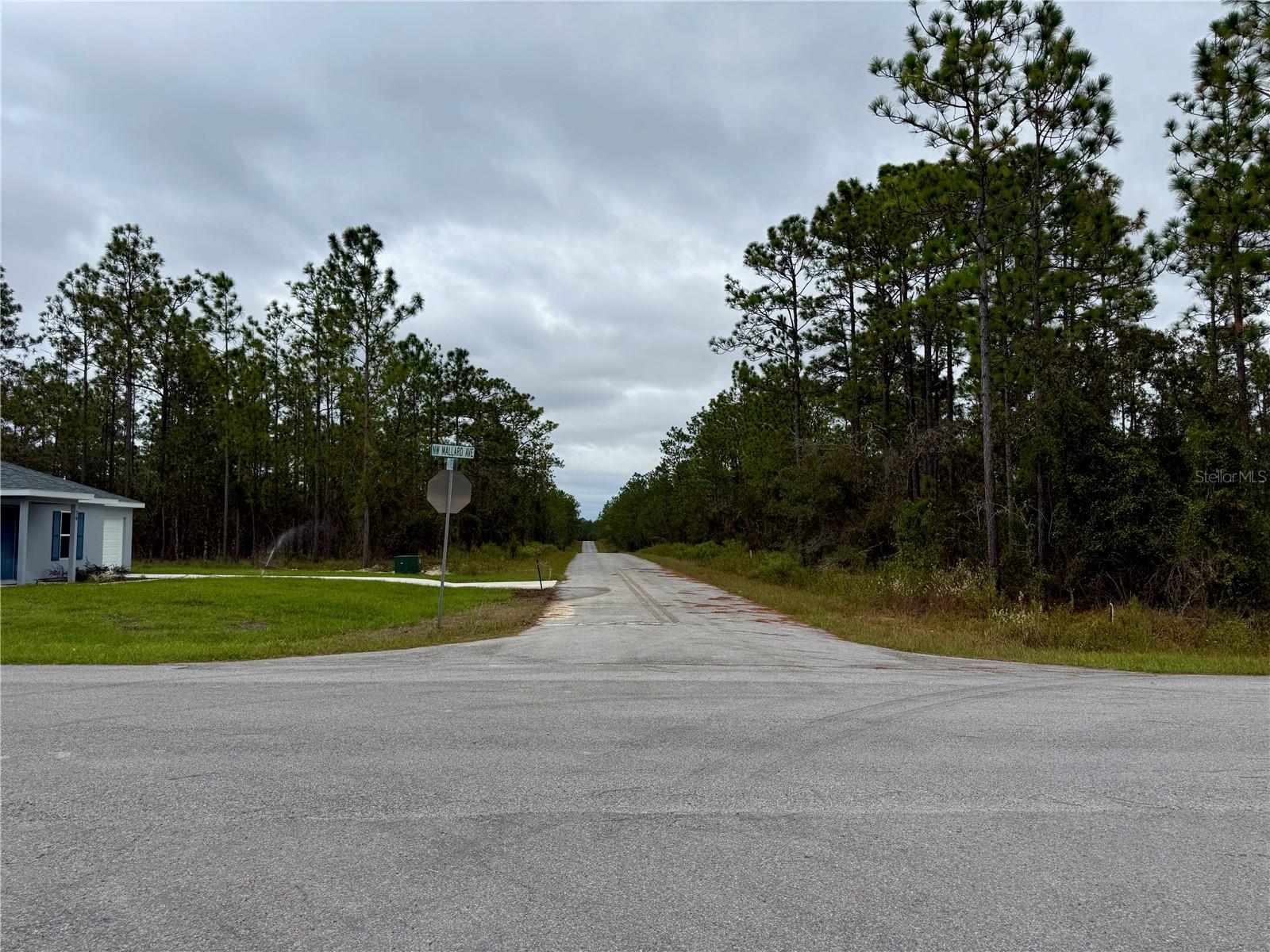 Image 5 of 20 For 0 Alvarez Road