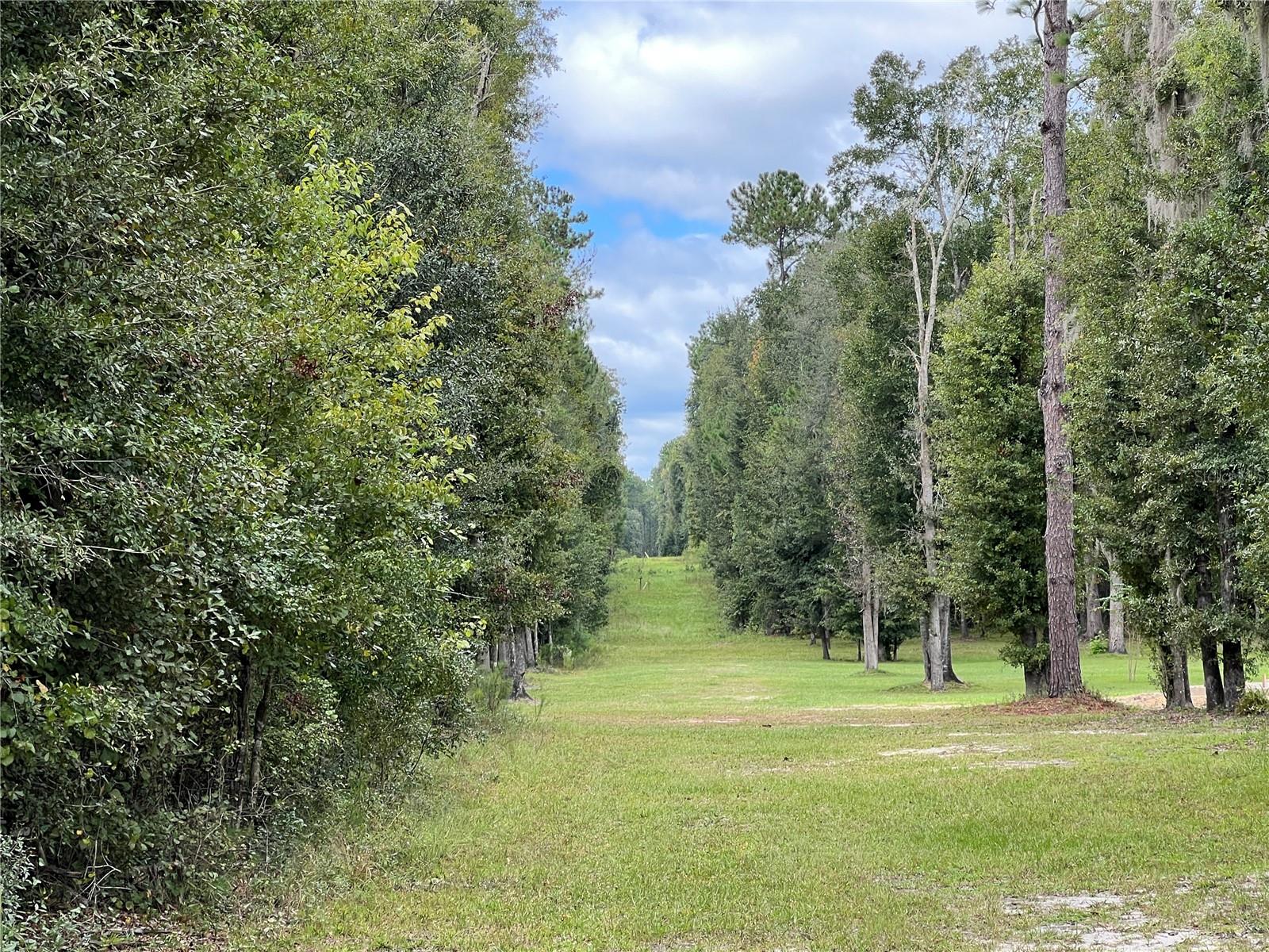 Image 6 of 7 For Tbd 145th Avenue